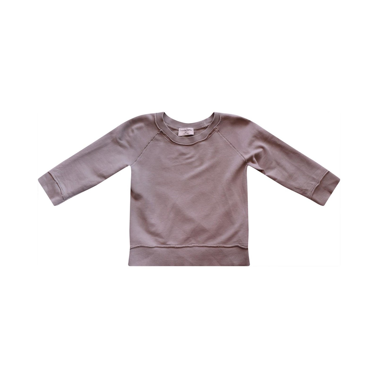 1 + IN THE FAMILY - long sleeve t-shirts