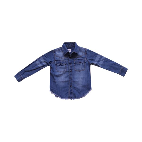 JOE'S - Button Down