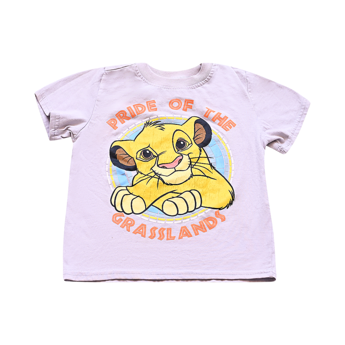 DISNEY - short sleeve t-shirts