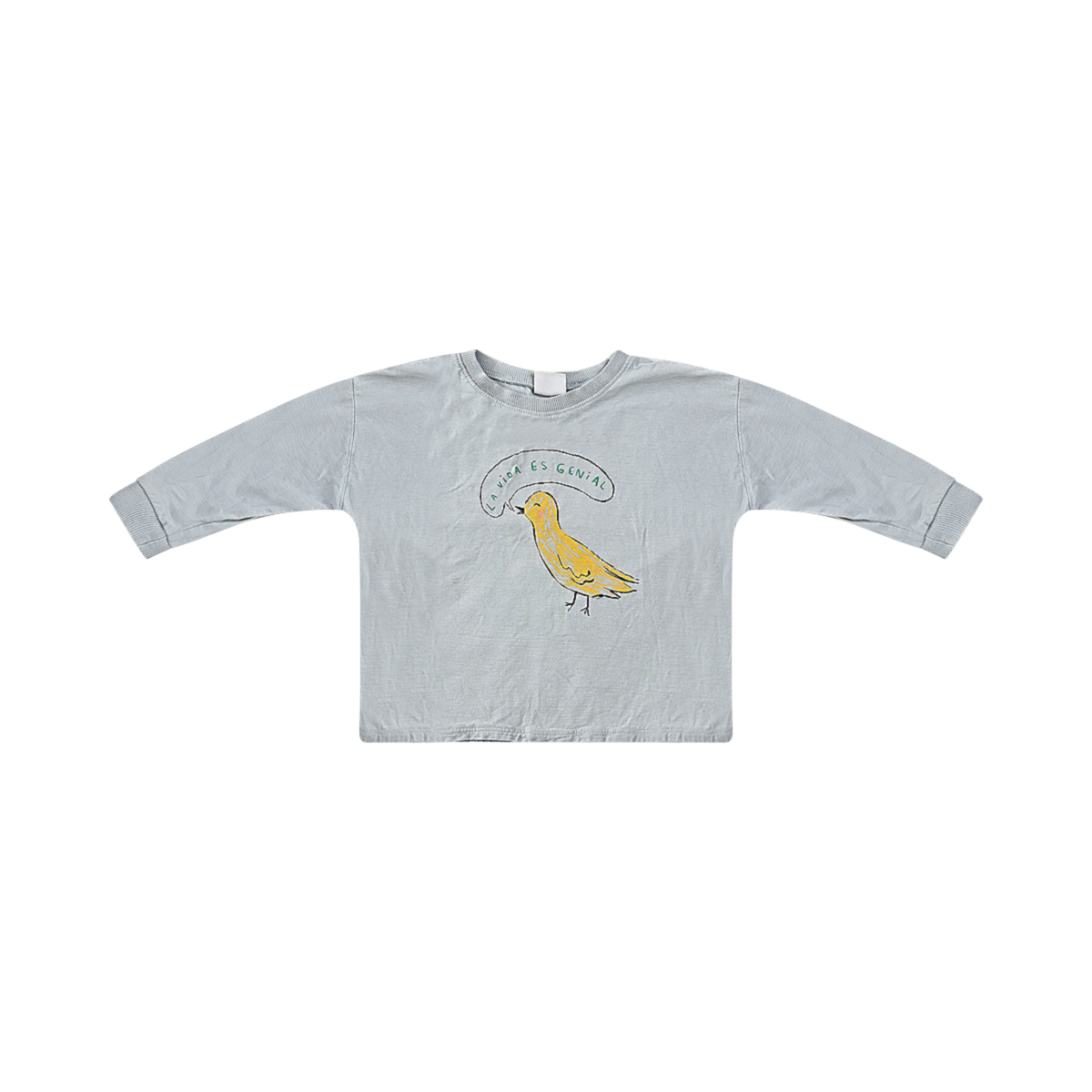 ZARA - long sleeve t-shirts