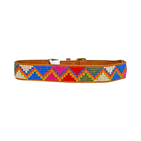 Embroidered Leather Belt | Multi  3y - Designed by BOBO CHOSES