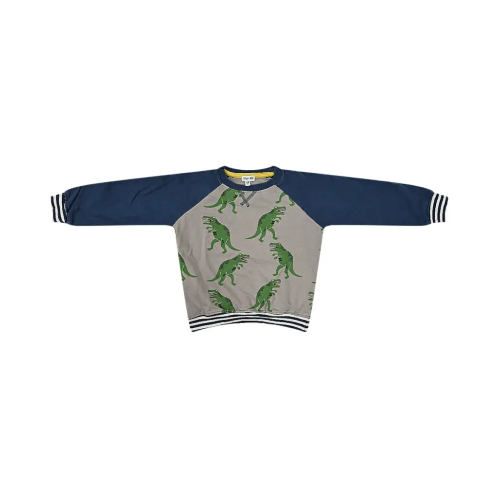 Dinosaur Raglan Sweatshirt - Designed by LILLY + SID