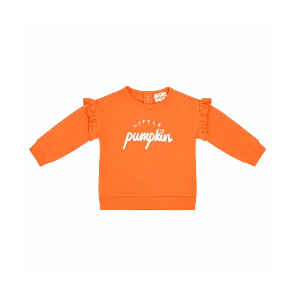 Little Pumpkin Sweatshirt | Orange 0/3m - Designed by CAT & JACK