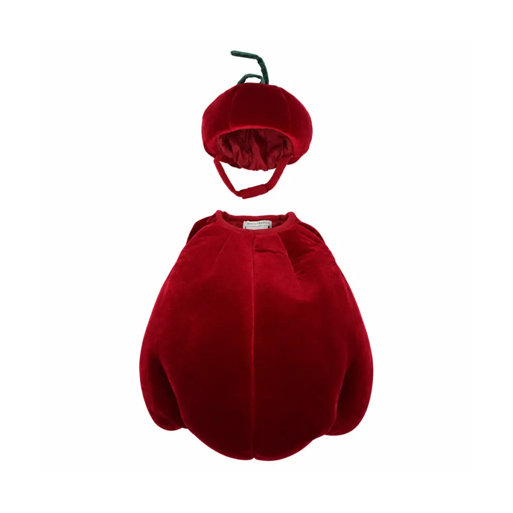 Baby Cherry Costume Set | Cherry Red  6/12m - Designed by POTTERY BARN