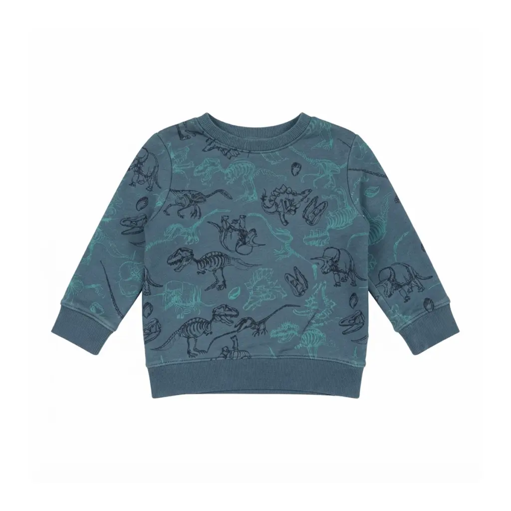 Dinosaur Skeleton Crewneck Sweatshirt | Dusty Blue  18m - Designed by CAT & JACK