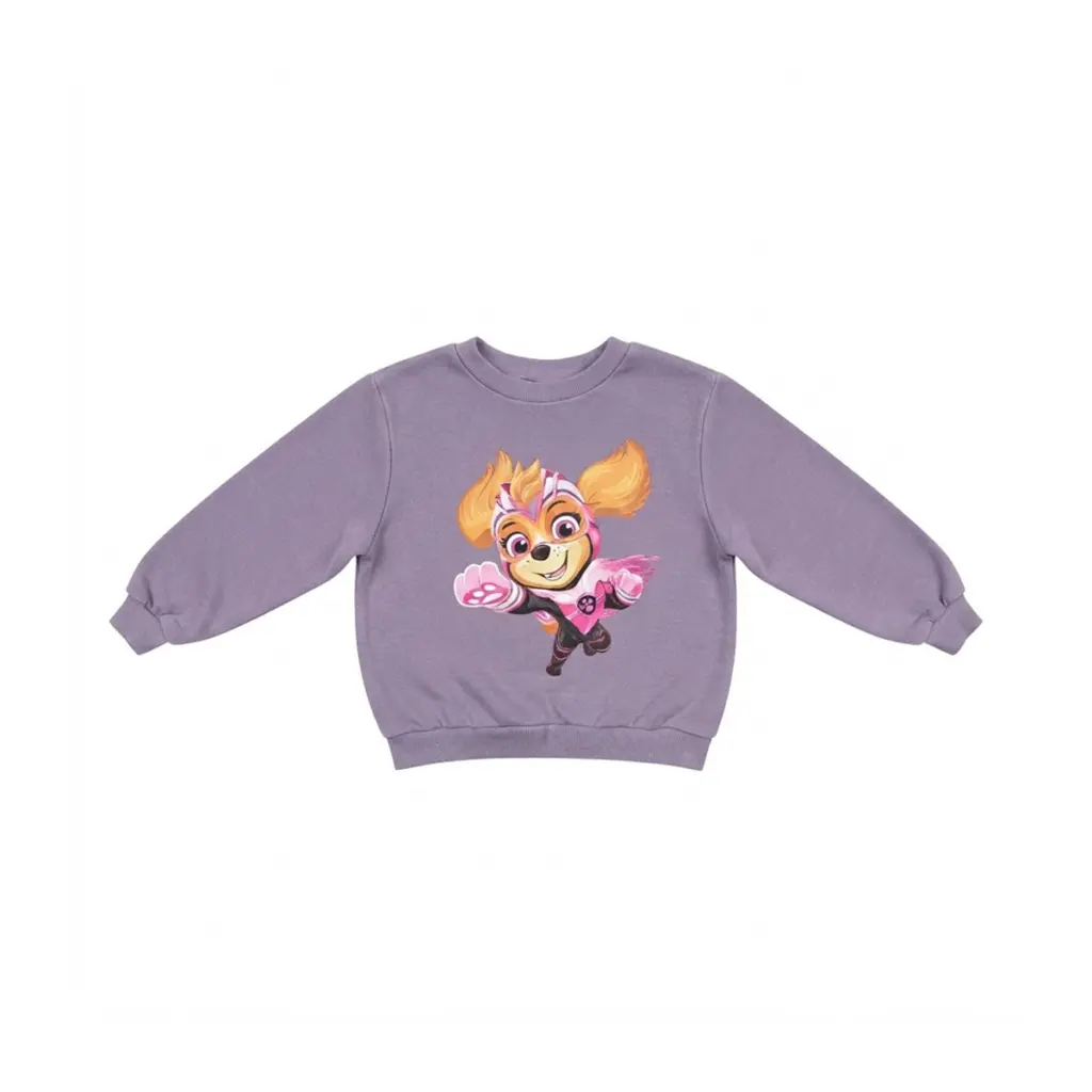 Paw Patrol Graphic Sweatshirt | Dusty Purple  2y - Designed by H&M